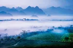 Mộc Châu vào mùa đẹp nhất