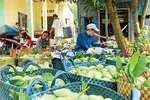 Đưa rau quả vào thị trường khó tính