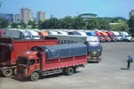 Thực hư hàng trăm container thanh long bị Trung Quốc cấm cửa?