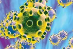 Hiểu và phòng tránh virus corona