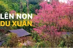 Lên non du xuân