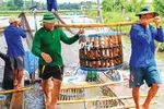 ĐBSCL - Cá tra bị thiệt hại kép