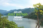 Nỗ lực giữ rừng Sông Thanh