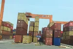 Kêu cứu vì 58 container hồ tiêu xuất khẩu đang mắc kẹt