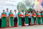 Xuất khẩu lô hàng trái cây đầu tiên theo Hiệp định EVFTA