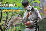 Khám phá thiên nhiên hoang dã tại Vinpearl Safari