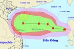 Bão số 8 đang di chuyển theo hướng Tây và liên tục tăng cấp