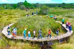 Du khách TPHCM tham quan điểm du lịch “Cánh đồng bất tận” tại huyện Mộc Hóa, tỉnh Long An.