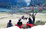 Đón Tết trên non cao