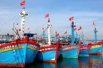 Việt Nam sẽ giảm lượng tàu đánh cá ven bờ