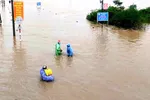 Mưa lũ tàn phá nặng nề ở Bình Định, 1 người bị lũ cuốn trôi