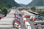 Cần tiết giảm nông sản xuất qua các cửa khẩu ở Lạng Sơn