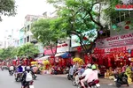 Phố Hải Thượng Lãn Ông nhộn nhịp mùa tết