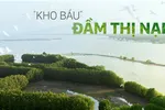 “Kho báu” đầm Thị Nại