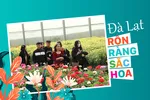 Đà Lạt rộn ràng sắc hoa 