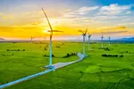 Một dự án điện gió được REE góp vốn