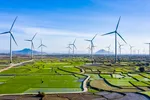 Điện gió có nguy cơ 'bay theo gió' 