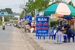 Thanh tra toàn diện việc quản lý đất đai tại Vân Đồn