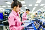 Tăng trưởng GDP quá phụ thuộc vào FDI mà điển hình là Samsung, chiếm 1/4 tổng kim ngạch xuất khẩu cả nước, sẽ rất bấp bênh và tiềm ẩn rủi ro.