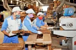 Ngành gỗ thiệt hại 3.000 tỷ đồng vì dịch Covid -19