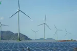 Việt Nam được đánh giá là nước có tiềm năng gió lớn nhất trong khu vực.