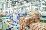 Tình trạng “núp bóng” doanh nghiệp sẽ khiến nguy cơ dòng chảy xuất khẩu gỗ của Việt Nam vào nhiều thị trường lớn bị ngưng trệ. (Ảnh minh họa: KT)