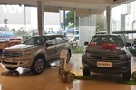 Ford Everest cũng đang có mức giảm hấp dẫn.