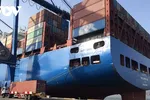 Nhiều DN cho biết, chi phí xuất nhập khẩu hàng hóa gia tăng do hiện tượng tăng giá thuê tàu và container.