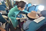 Vietnam Airlines chung tay bảo vệ sao biển trên các chuyến bay đến Phú Quốc