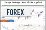 Forex là viết tắt của cụm từ Foreign Exchange, nghĩa là trao đổi tiền tệ quốc tế - Ảnh: CACC