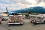Vietnam Airlines vận chuyển miễn phí 190.000 bộ kit xét nghiệm Covid-19 của Đức viện trợ 