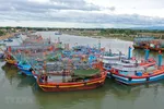 Tàu thuyền của ngư dân tránh trú bão tại khu neo đậu Cửa Viêt. (Ảnh: Hồ Cầu/TTXVN)