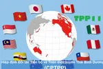 Xuất siêu sang thị trường CPTPP