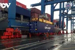 Tình trạng tăng phi mã cước vận tải biển, đặc biệt là cước phí vận chuyển container cùng ảnh hưởng của đại dịch đang làm gián đoạn đến hoạt động liên tục của DN.