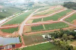 Một đồi chè ở Bảo Lộc đã được phân lô