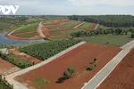 Lâm Đồng xác định nhiều trường hợp ‘đội lốt’ hiến đất làm đường để phân lô, tách thửa.