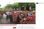 Kênh Youtube “Thương hiệu Lục Ngạn TV” đăng tải video phản ánh vải được thu mua dao động từ 10-15 nghìn đồng/kg, nhưng trên tiêu đề trang lại ghi “Vải thiều lục ngạn chưa bao giờ tụt giá kỷ lục như năm nay 5k/1kg” (ảnh chụp màn hình).