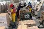 Sớm kiểm soát “dòng chảy” của nguyên liệu gỗ