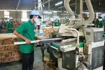 Nhiều doanh nghiệp chế biến sản phẩm gỗ đang cắt giảm lao động.