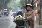 Người lao động đường phố Hà Nội quay quắt mưu sinh dưới mưa rét