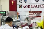 Khách hàng giao dịch tại chi nhánh Ngân hàng Agribank.