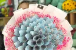 Nhiều khách hàng ưa chuộng những "bó hoa tiền" đẹp mắt