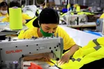 Công nhân Công ty Trách nhiệm hữu hạn May mặc Dony gia công hàng dệt may xuất khẩu. (Ảnh: Hồng Đạt/TTXVN)
