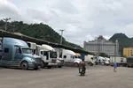 Các xe tải chở nông sản Việt Nam nằm chờ ở cửa khẩu Tân Thanh, Lạng Sơn chuẩn bị xuất hàng sang Trung Quốc. (Ảnh: NLĐ)