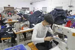 Người lao động làm việc tại cơ sở may Dương Ngọc ở thôn 1, xã Hòa Hậu, huyện Lý Nhân, Hà Nam. (Ảnh: Trần Việt/TTXVN)