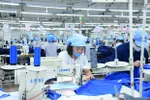 Sản xuất dệt may tại một doanh nghiệp. (Ảnh: PV/Vietnam+)