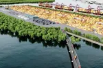 Phối cảnh dự án Cảng trung chuyển quốc tế Cần Giờ