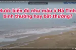 Nước biển đỏ như máu ở Hà Tĩnh, bình thường hay bất thường?