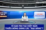 Góc nhìn chuyên gia: Vì sao FDI tại Việt Nam thiếu bóng dáng các 'đại bàng'?