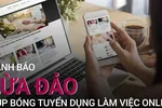 Bị lừa hơn 300 triệu đồng sau khi nhận làm cộng tác viên online